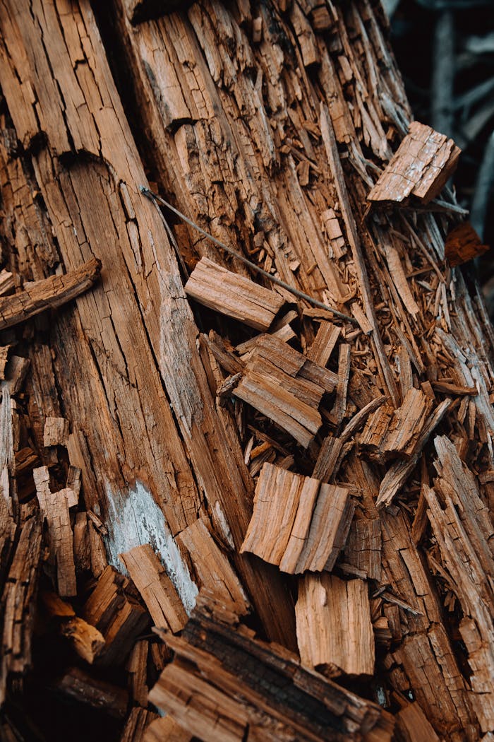 From above of dry log with bark cracked in pieces and chips during processing
